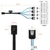 Pi+® (PiPlus®) Mini SAS to SATA Cable