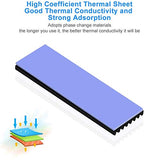 Pi+®(PiPlus®) Heatsink for M.2/M2 SSD NVME/SATA with Silicone Thermal Cooling Gel Pad - 2 units